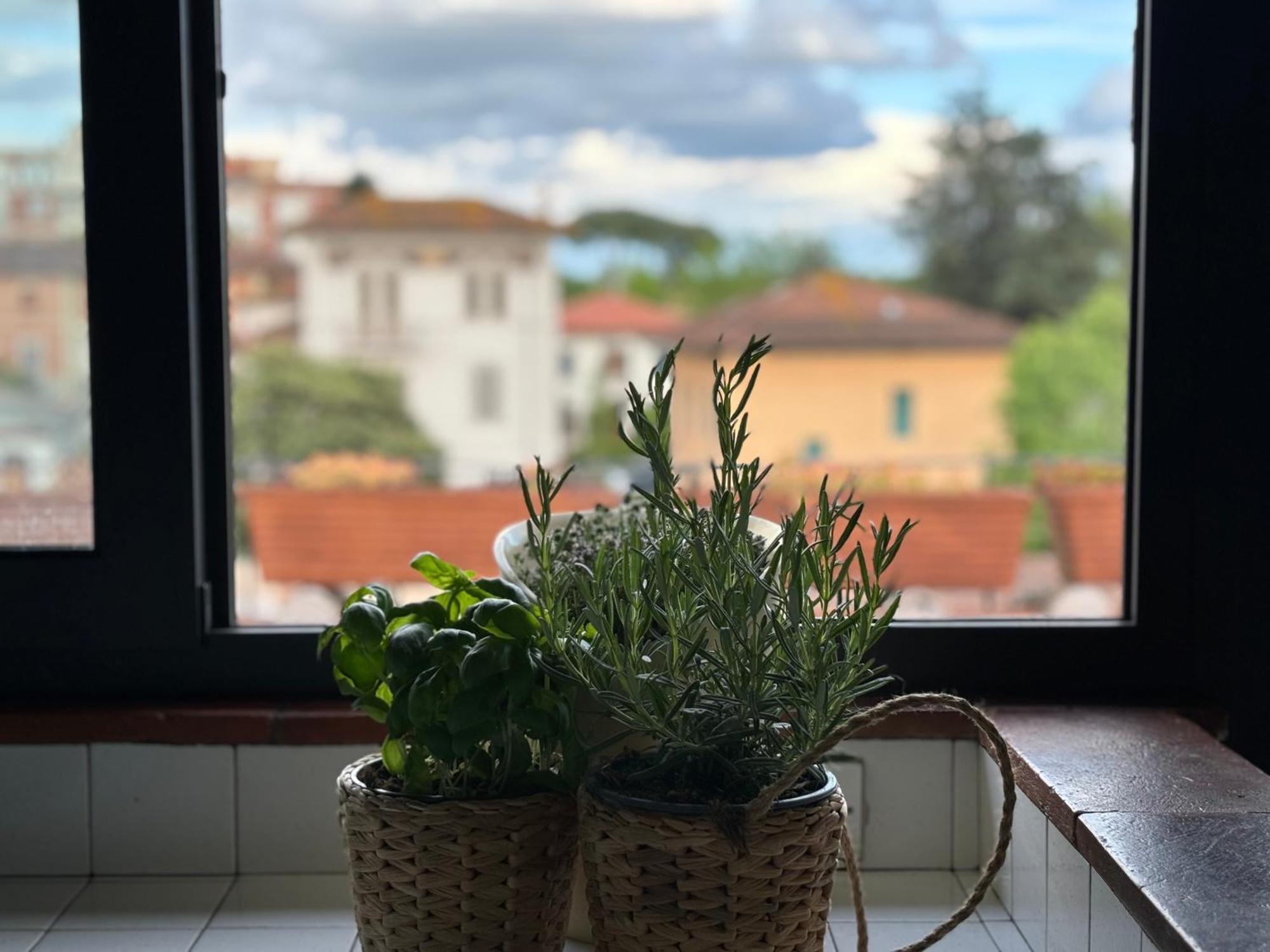 Lovely Apartment Lucca Exterior photo
